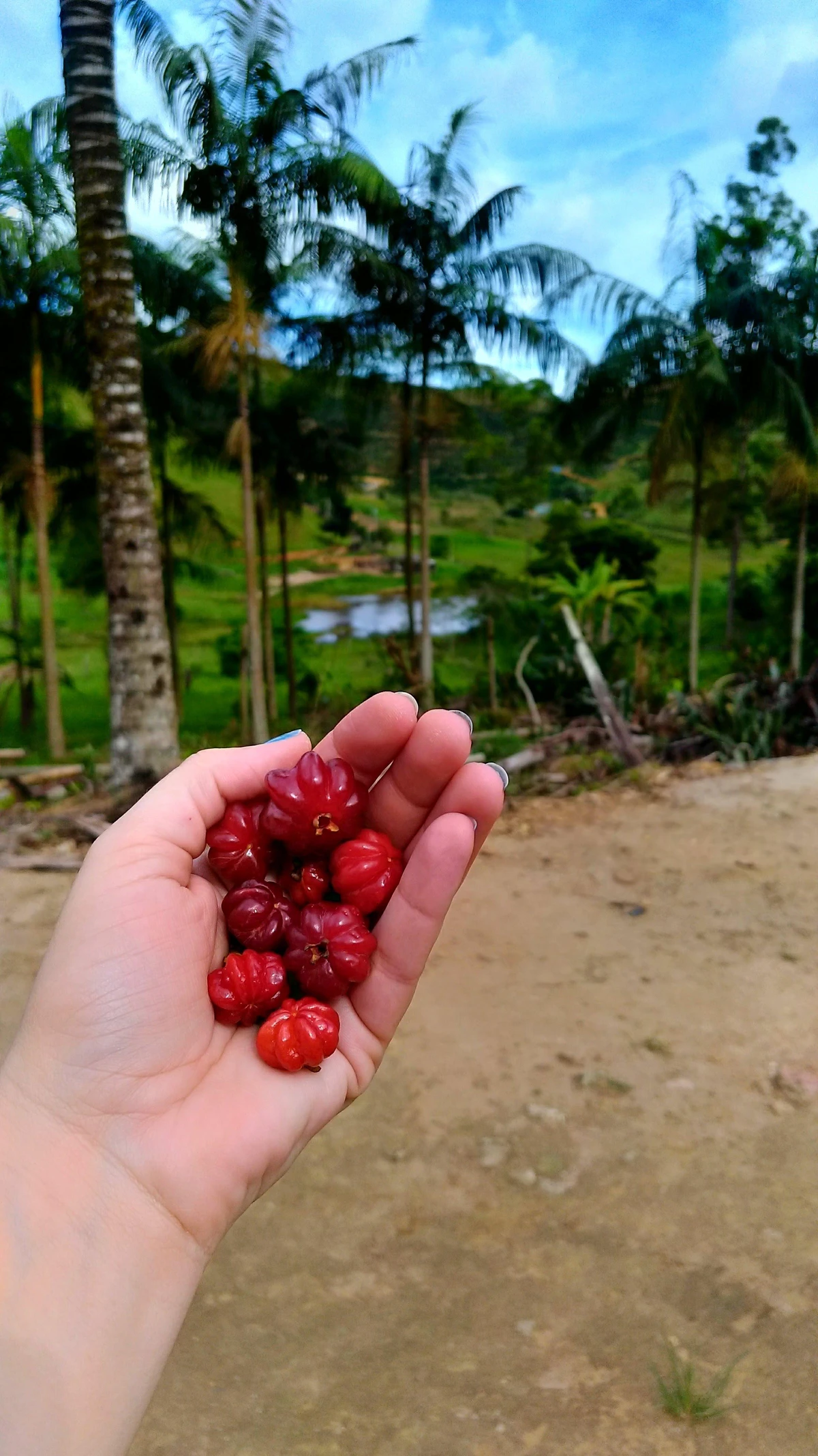 Caparaó Capixaba: Guaçuí
