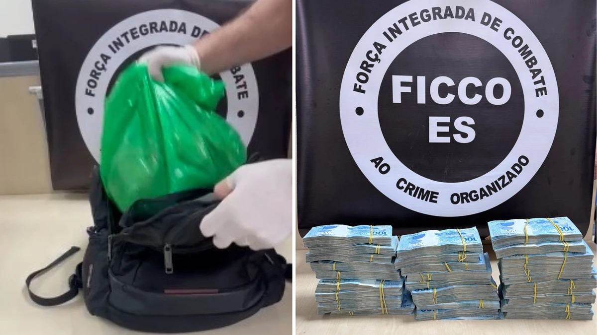Dinheiro foi encontrado dentro de mochila, escondido em uma sacola 