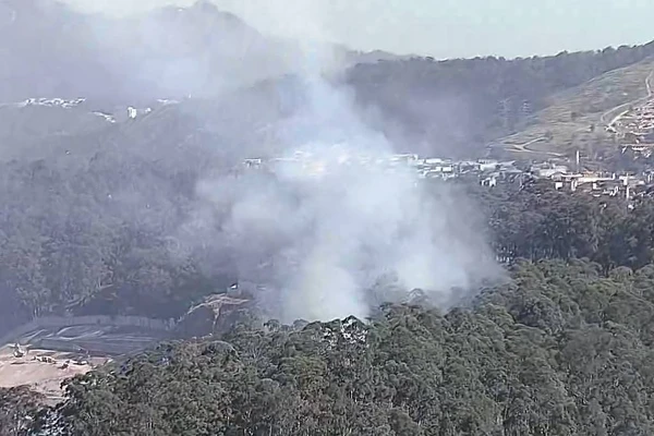 Fumaça em área do Parque Natural Municipal Fazenda do Carmo, na zona leste de São Paulo; agentes encontraram dois corpos carbonizados