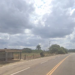 Caso ocorreu na madrugada da última sexta-feira (18), quando Nailde Ferreira de Souza Silva, de 58 anos, foi encontrada com ferimentos pelo corpo na rodovia ES 315