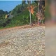Imagem - Carreta tomba na BR 101 em Ibiraçu após perder controle em curva