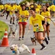Imagem - Corrida Garotada e Cachorrida têm inscrições esgotadas na 34ª Dez Milhas Garoto