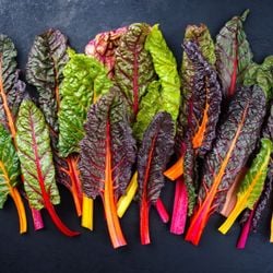 Conheça as vantagens desse vegetal versátil que conquista espaço na alimentação saudável

