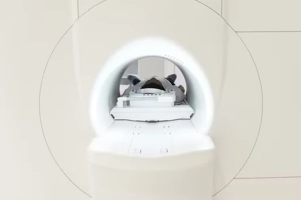 Máquina de ressonância magnética foi a responsável por vitimar homem nos EUA