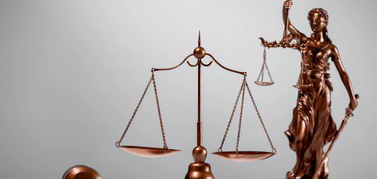 A Meta, empresa responsável pela rede social, tem prazo de cinco dias para excluir os perfis e também deverá fornecer dados dos criadores das contas