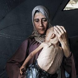 Comunicado divulgado pelas organizações pede suspensão de todas as restrições e uma resposta humanitária liderada pela ONU.