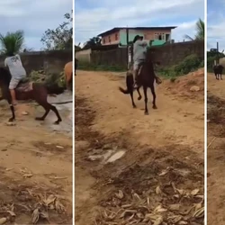 Caso ocorreu em Cariacica e foi descoberto após divulgação de vídeo nas redes sociais; suspeito tem 64 anos e foi identificado com apoio de funcionário do rancho localizado no bairro Alzira Ramos