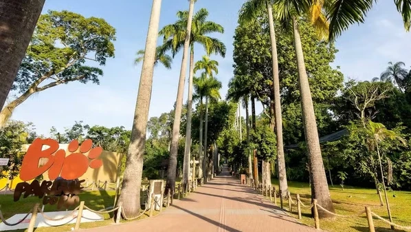 No comunicado, o BioParque informou que as amostras foram encaminhadas ao laboratório de referência do Ministério da Agricultura e Pecuária, em Campinas (SP) e o diagnóstico foi validado por autoridades sanitárias