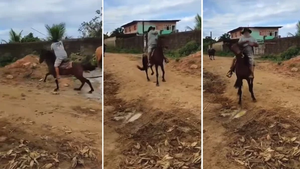 Caso ocorreu em Cariacica e foi descoberto após divulgação de vídeo nas redes sociais; suspeito tem 64 anos e foi identificado com apoio de funcionário do rancho localizado no bairro Alzira Ramos