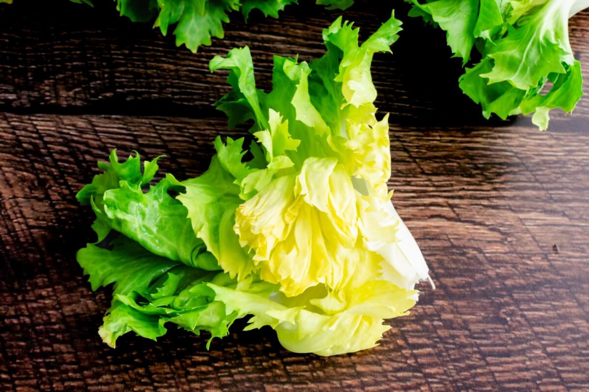 Saborosa e nutritiva, a escarola se destaca tanto na culinária quanto nos benefícios à saúde (Imagem: Candice Bell | Shutterstock)