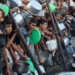 A desnutrição, a fome e os assassinatos perto de centros de ajuda humanitária se tornaram uma preocupação crescente em Gaza, à medida que as pessoas dependem exclusivamente da ajuda distribuída pela controversa GHF, apoiada pelos EUA e por Israel.