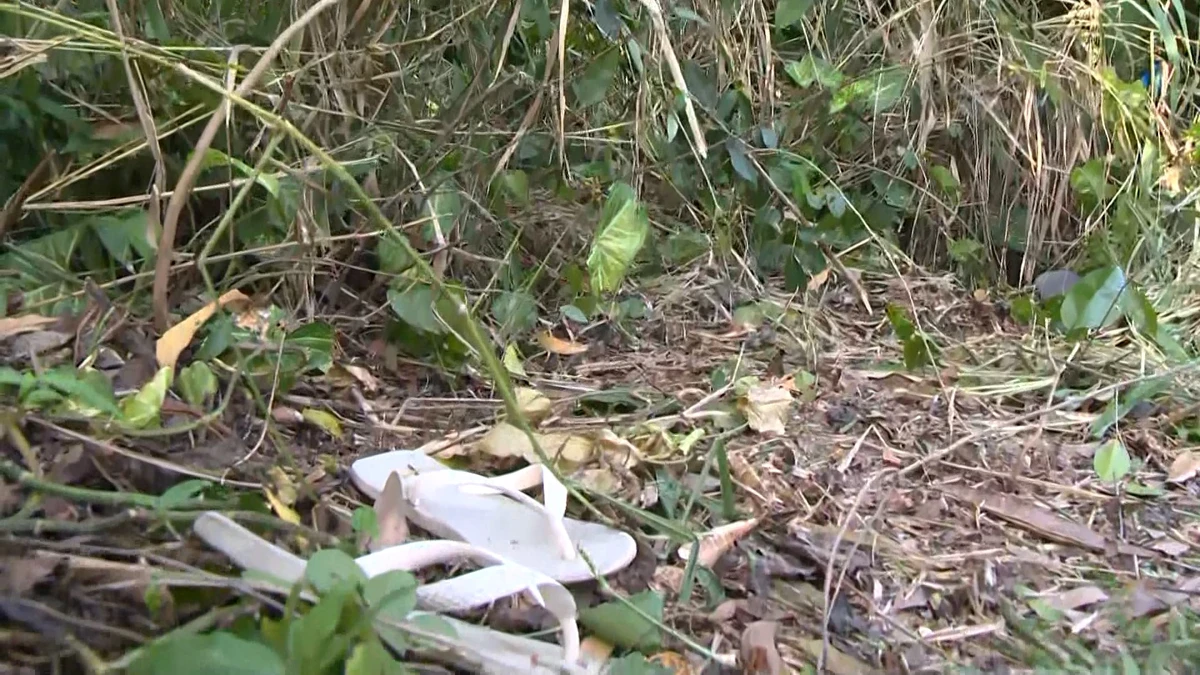 Corpos foram encontrados no meio de uma mata na região da Grande Jacaraípe