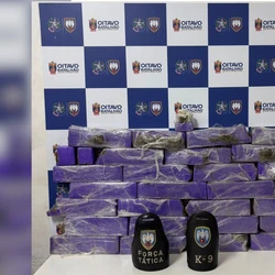 Foram apreendidos 30 tabletes da droga, cerca de 27 quilos; segundo a PM, se fracionado, entorpecente poderia render R$ 130 mil a traficantes