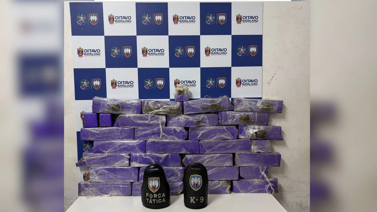 Drogas apreendidas em ação da PM em Baixo Guandu