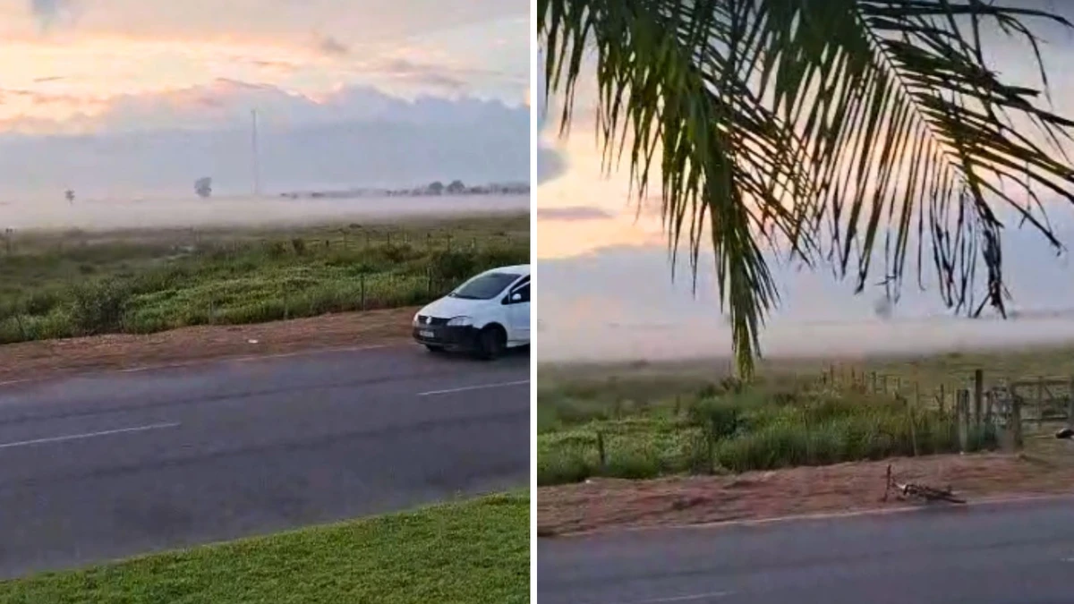Local em que o corpo foi encontrado em Linhares 