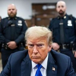 O presidente americano Donald Trump vem confrontando a Justiça com escala e fúria únicas, em comparação com seus antecessores. Mas será que o equilíbrio dos poderes no país ficará realmente redefinido, mesmo depois que ele deixar a Casa Branca?