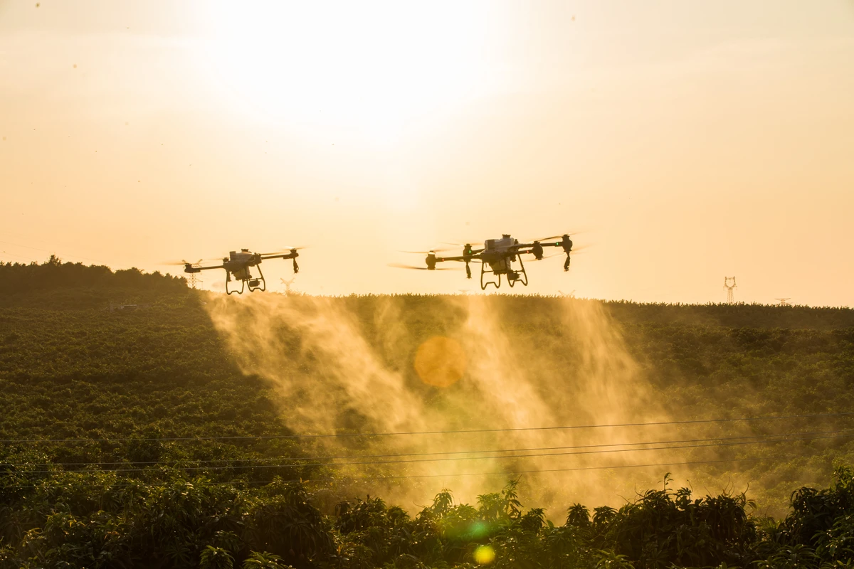 Drones sendo usados nas lavouras: equipamentos estão cada vez mais presentes no campo