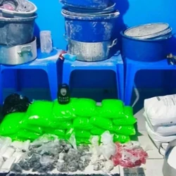 Imóvel em Flexal II funcionava como ponto de preparo e embalagem dos entorpecentes; ninguém foi preso