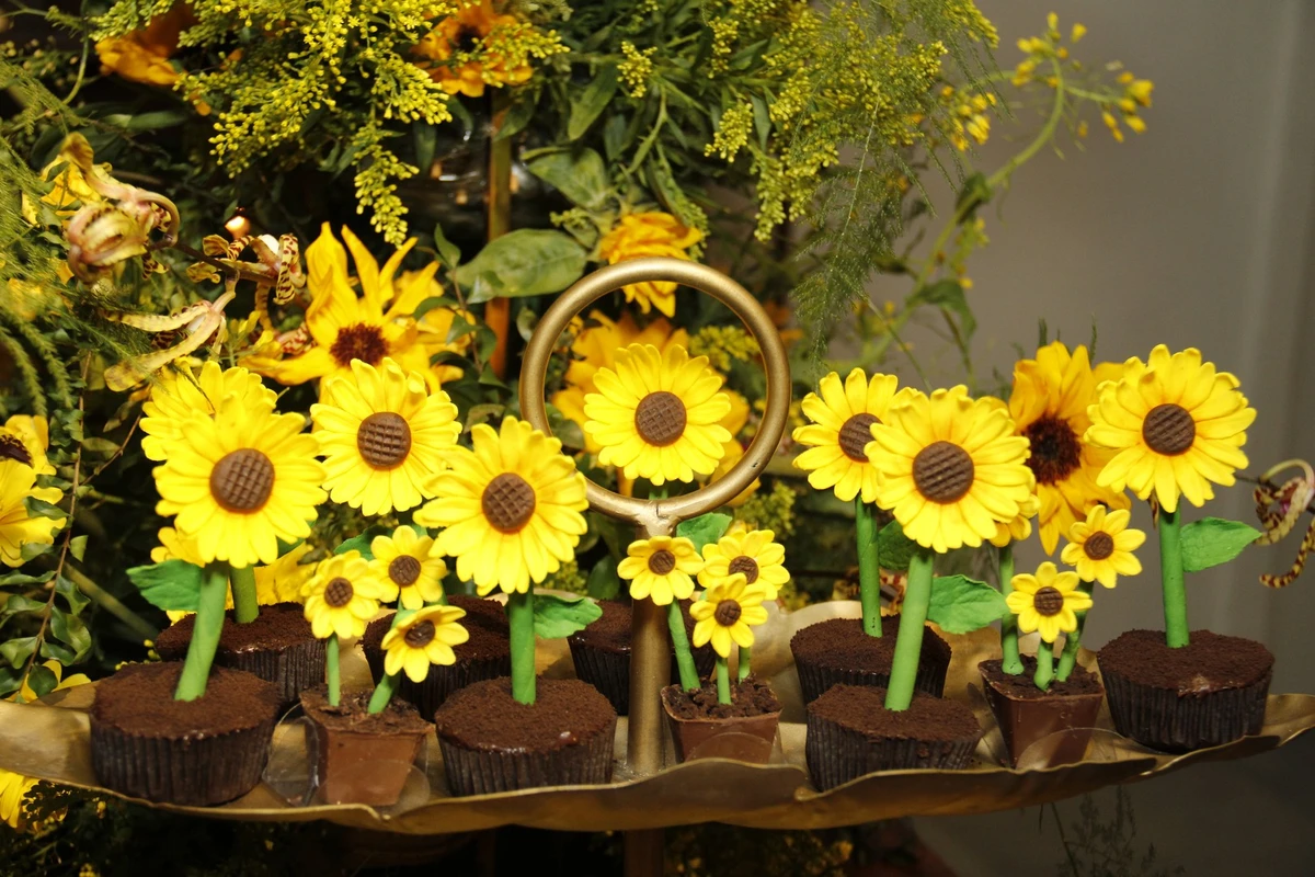 Aniversário de Neila Nara Neiva