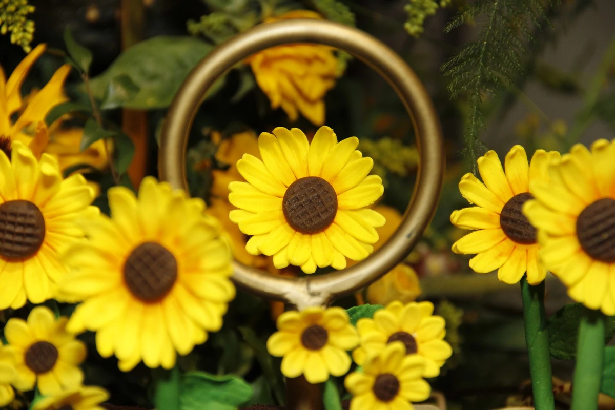 Aniversário de Neila Nara Neiva