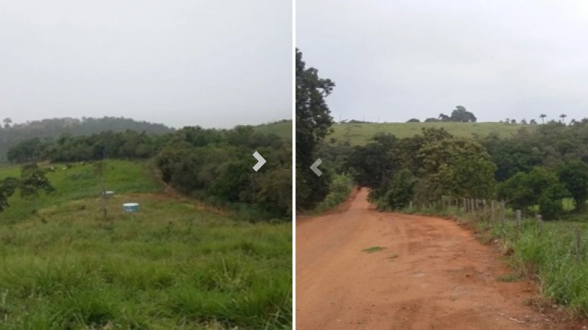 Propriedade rural em Ponta Grossa, Anchieta, tem lance inicial de R$ 8,9 milhões por Reprodução Colodete Leilões