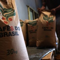 Representantes de diferentes segmentos buscam amenizar o impacto das novas taxas e políticos brasileiros se reúnem em Washington enquanto aguardam conversa entre Lula e Trump para derrubar tarifas de 50%