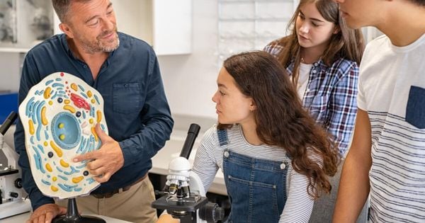 Projeto de A Gazeta e Gama Pré-Vestibular encerra hoje (14) o ciclo de revisões, fornecendo as orientações finais para a 2ª etapa do Enem, neste domingo (16)