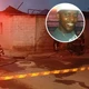 Imagem - Pizzaiolo é encontrado morto e amordaçado dentro de casa incendiada em Vila Velha