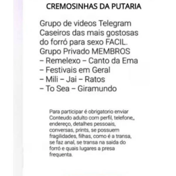 Grupo de Telegram 'Cremosinhas da Putaria', que divulgava vídeos íntimos de mulheres sem consentimento 