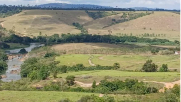 Intervenções foram realizadas por terceirizadas da Suzano na preparação de terreno para plantio de eucalipto; empresa tinha licença para executar serviço
