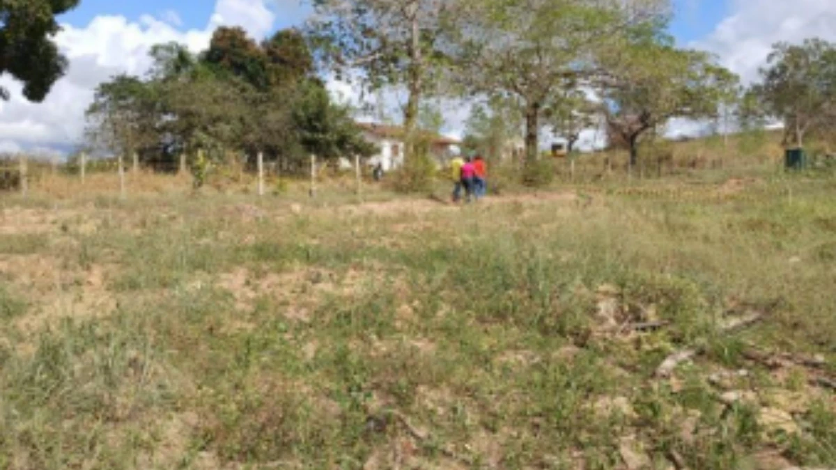 Vistoria do Iphan na Fazenda Cachoeira do Cravo, em São Mateus: área do antigo cemitério após as intervenções por Iphan