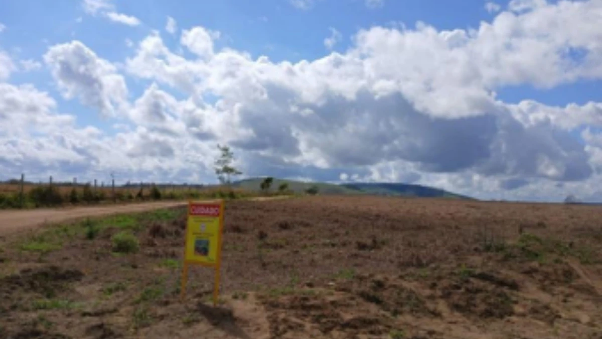Vistoria do Iphan na Fazenda Cachoeira do Cravo, em São Mateus: área impactada pelas terceirizadas para a plantação de eucalipto por Iphan
