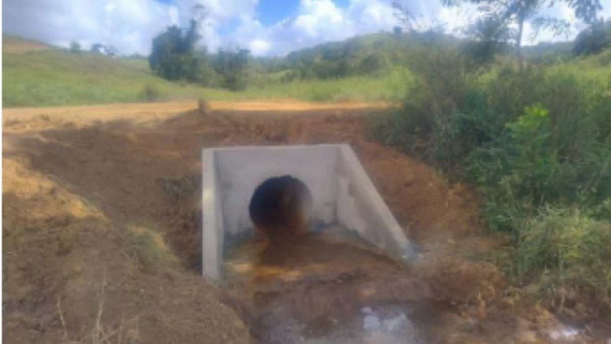 Vistoria do Iphan na Fazenda Cachoeira do Cravo, em São Mateus: estrutura de drenagem instalada por terceirizada da Suzano por Iphan