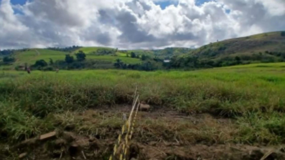 Vistoria do Iphan na Fazenda Cachoeira do Cravo, em São Mateus: fita zebrada no entorno do antigo cemitério por Iphan