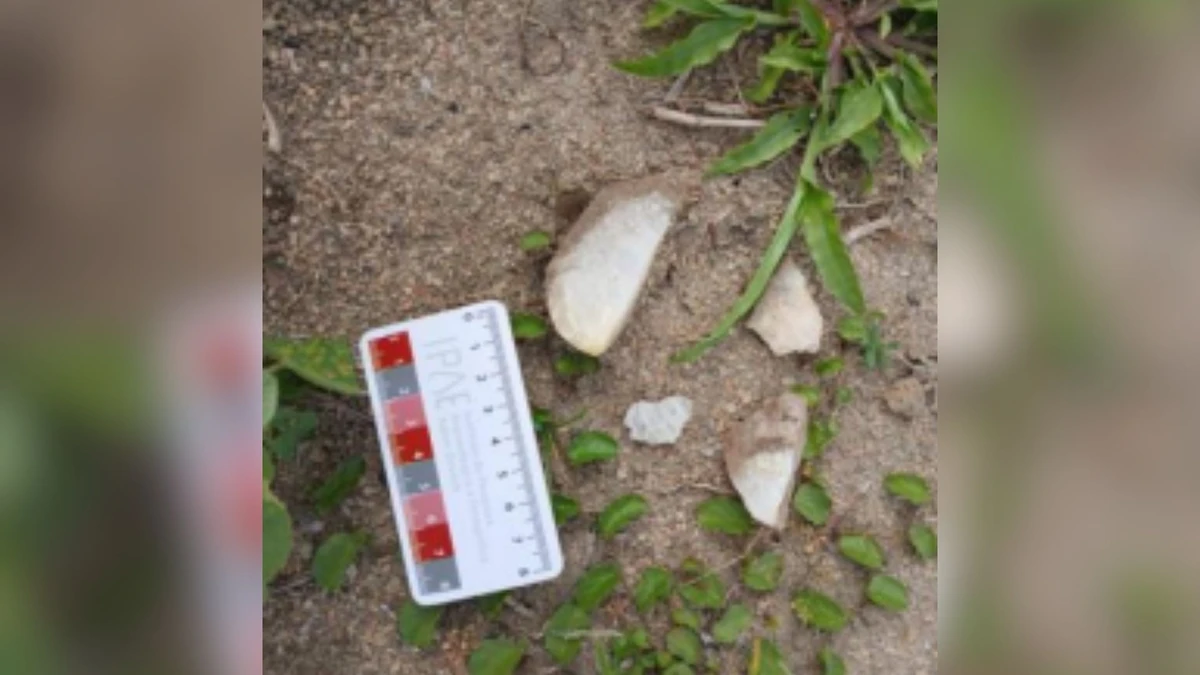 Vistoria do Iphan na Fazenda Cachoeira do Cravo, em São Mateus: Fragmentos de quartzo na área do cemitério indicando a existência de matéria-prima para a produção de artefatos por povos indígenas por Iphan