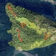 Imagem - Desmatamento ilegal de 21 mil m² de Mata Atlântica é descoberto em Mimoso do Sul