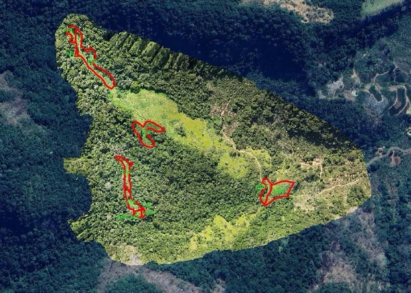 Polícia Militar Ambiental embarga desmatamento ilegal em Mimoso do Sul
