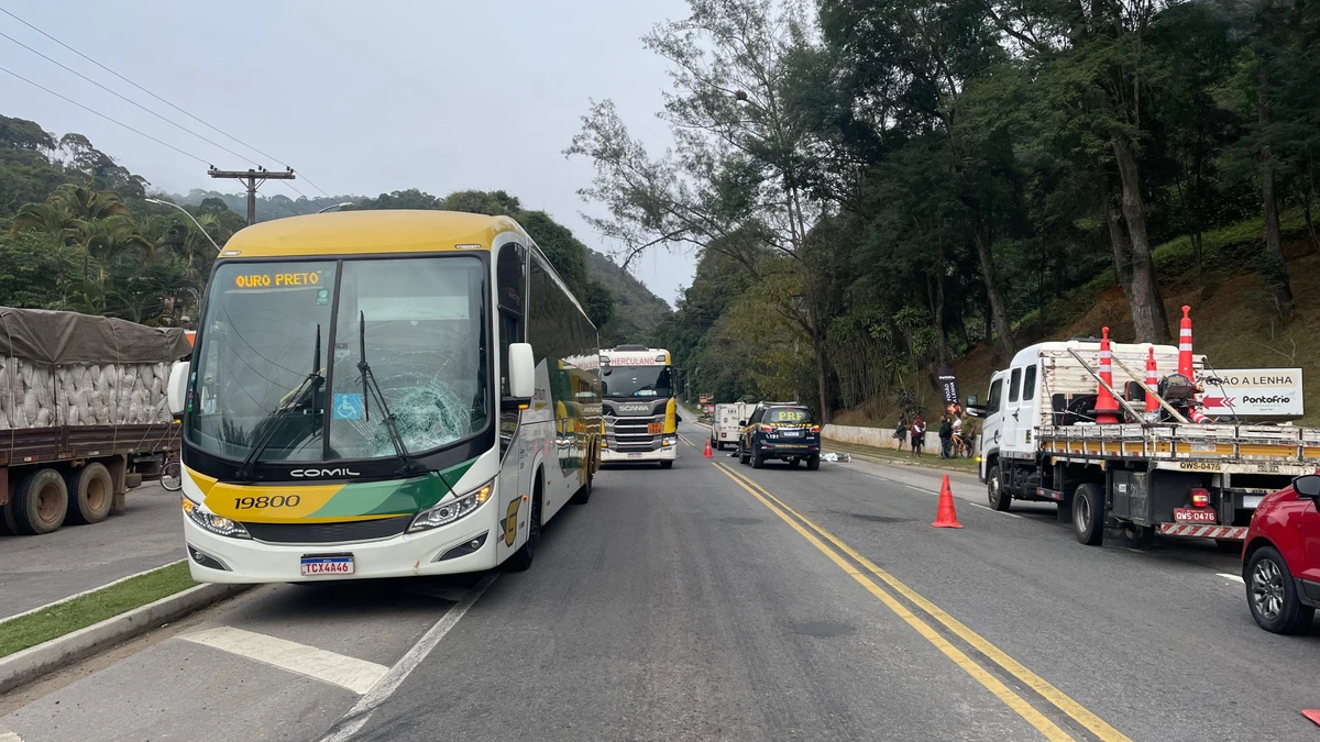 Homem morre atropelado por ônibus na BR 262 em Marechal Floriano