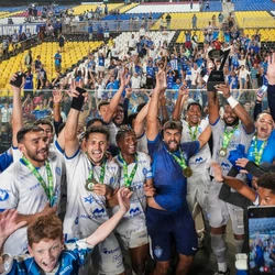 arlos Vitor, Pepeu e Thiago Ramos fizeram os gols da conquista alvianil. Veja as imagens da festa alvianil
