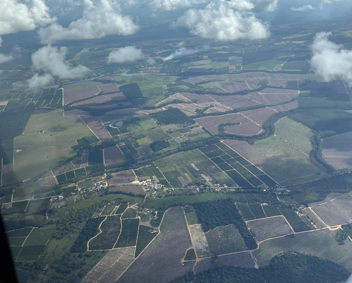 Lavouras na região de Linhares, no Norte do Espírito Santo