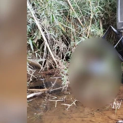 Caso foi registrado na região de Santa Clara,  na manhã de segunda-feira (4); as circunstâncias do acidente são apuradas pela Polícia Civil