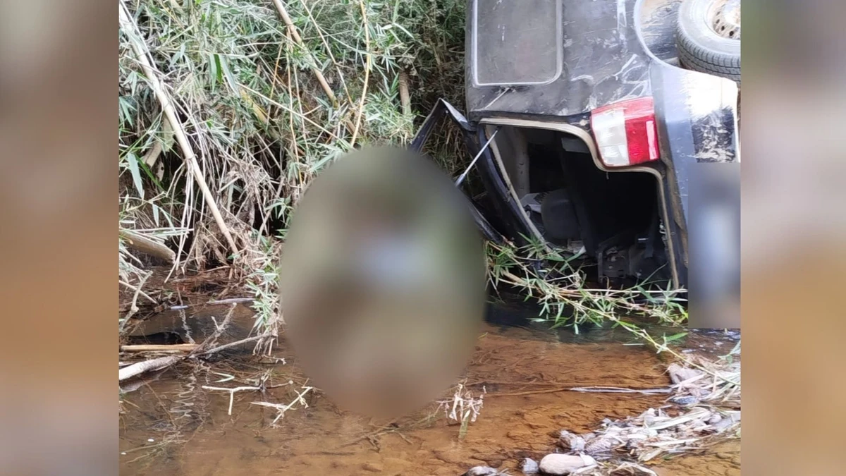 Idoso capota carro e morre às margens de córrego no Caparaó