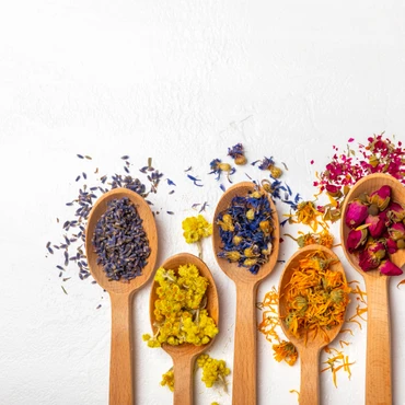 Imagem - 30 plantas medicinais e para que servem