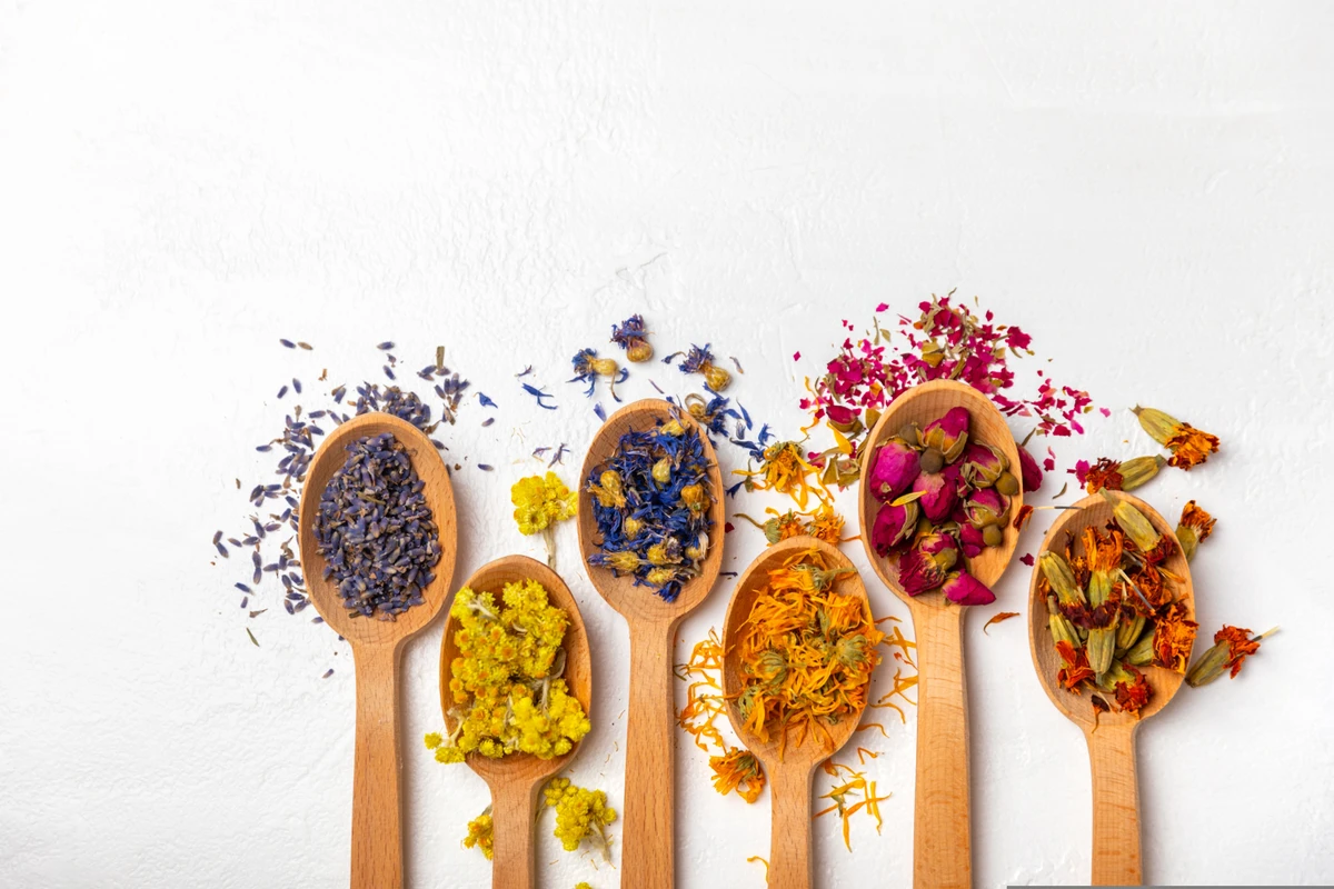 Ervas medicinais / plantas