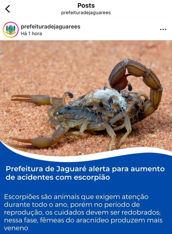 O alerta da Prefeitura de Jaguaré nas redes sociais