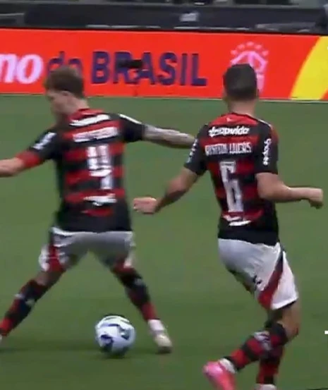 A Gazeta - trdve488pl