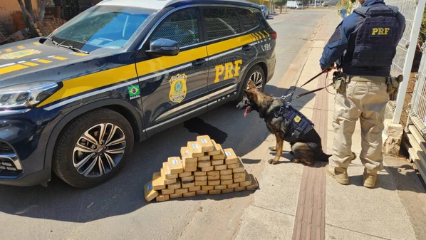 Jeep Renegade teria saído de São Roque, em São Paulo, com destino a Vitória, Capital capixaba, onde seriam entregues os 50 tabletes da droga.