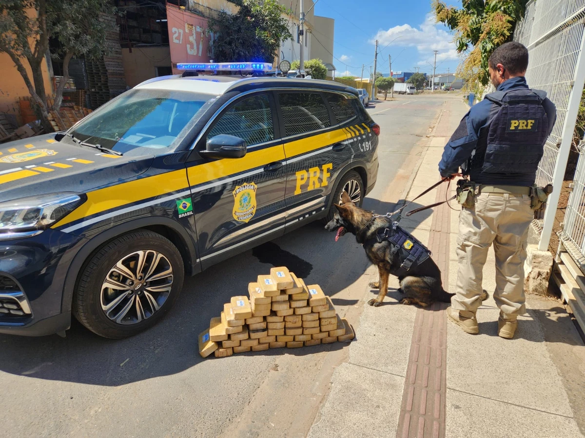 Cerca de 52 kg de pasta base de cocaína foram apreendidos.