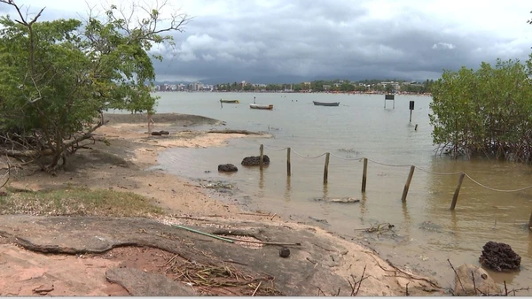 iLHA DO gAMB