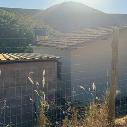 Crime aconteceu na madrugada de sexta-feira (8); Esposa e filhos da vítima se esconderam em um quarto para esperar suspeitos saírem do local